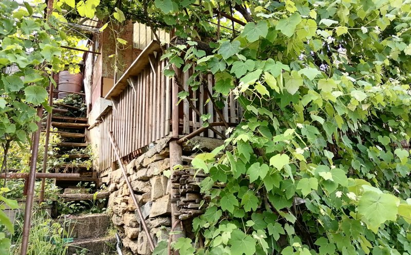 Cel mai cel garaj din Cluj: "Un neamț nu ar putea face asta, un francez nu, dar un român da!"