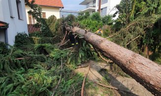 Cabluri de curent rupte, acoperişuri distruse, subsoluri inundate, arbori căzuţi peste maşini, conducte de gaz avariate. Şi ploaia continuă la Cluj