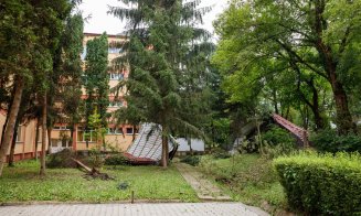 Cei mai mulți arbori doborîţi de furtună, în Gheorgheni, centru, Zorilor, Grigorescu, Mărăști. Majoritatea brazi, vor fi donaţi
