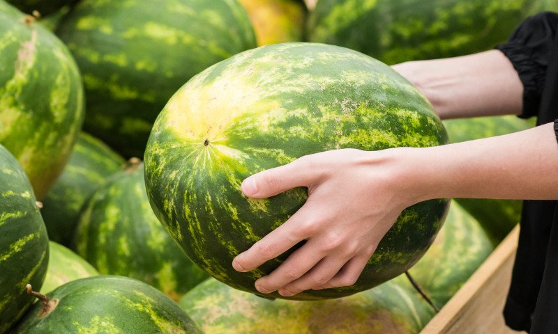 Cum poţi alege un pepene roşu copt și cu gust. Trucuri pe care trebuie să le știi