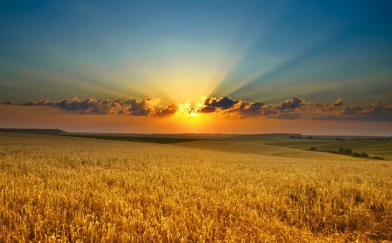 Încă o lună fierbinte? Cum va fi vremea în luna august