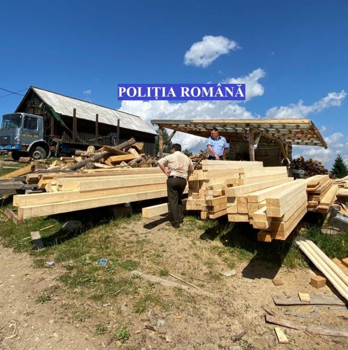Dosar penal pentru  o firmă de exploatare forestieră din Cluj