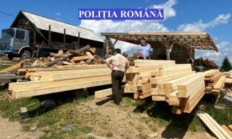 Dosar penal pentru  o firmă de exploatare forestieră din Cluj