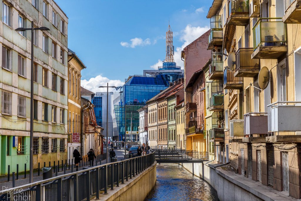 Primele flori ajung, joi, pe Mica Veneţie din Cluj