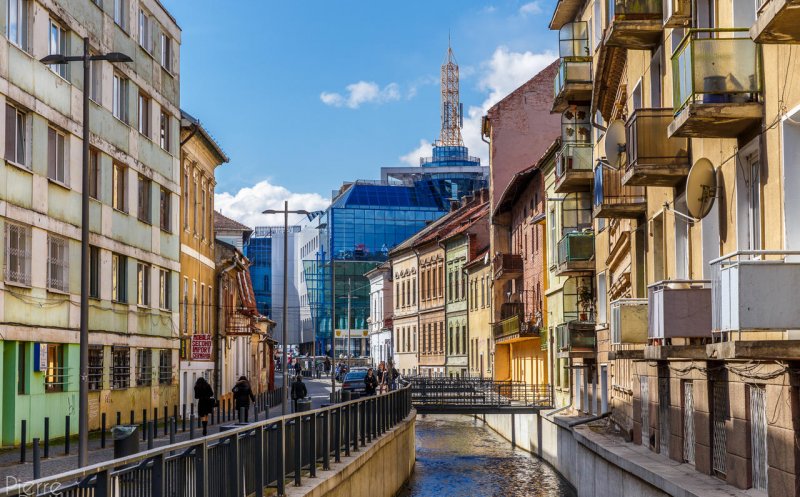 Primele flori ajung, joi, pe Mica Veneţie din Cluj