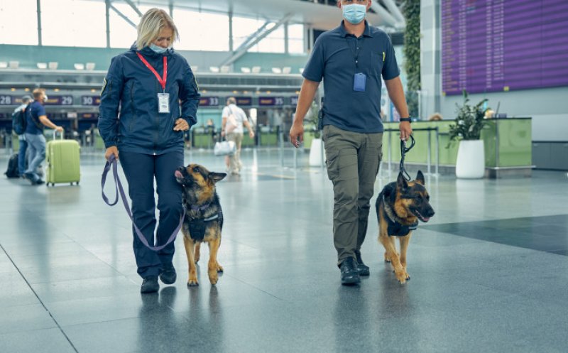 Bode: ''Câini dresaţi pentru depistarea persoanelor cu COVID-19 pe Aeroportul Cluj''