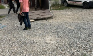 Cai nesupravegheați, ridicaţi de pe domeniul public din Florești