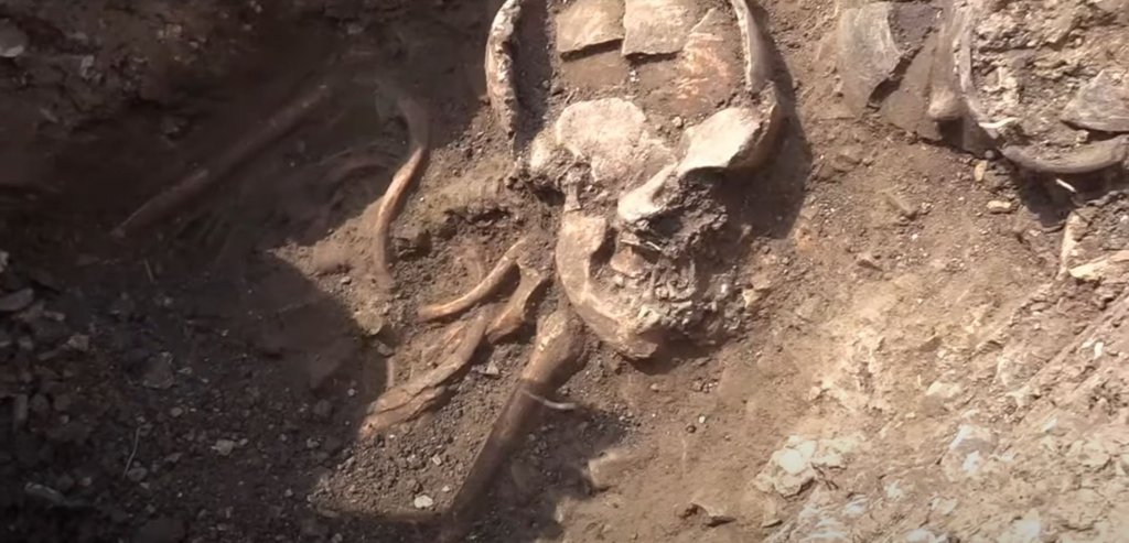 Scheletele de 6.000 de ani, descoperite la Cluj, au stârnit interesul istoricilor la nivel global