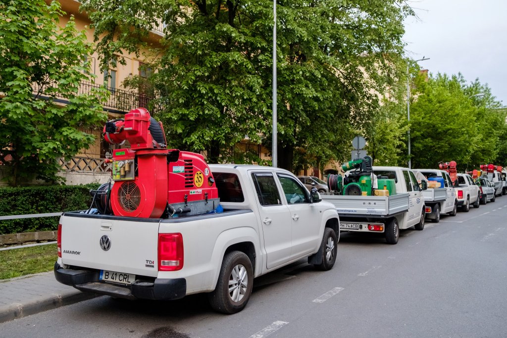 Acțiune de deratizare la Cluj-Napoca. Va dura 20 de zile