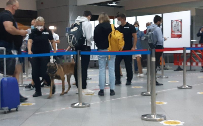 El este căţelul care verifică de COVID pasagerii de pe aeroportul Cluj