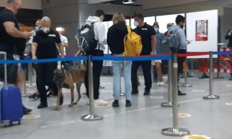 El este căţelul care verifică de COVID pasagerii de pe aeroportul Cluj