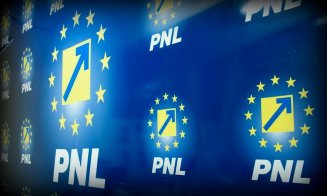 BPN al PNL convocat de echipa Cîţu sâmbătă; Consiliul Naţional se reuneşte pentru modificarea Statutului