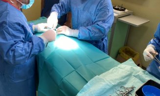 Premieră în România: O pisicuță cu o anomalie congenitală rară a fost operată cu succes la USAMV Cluj