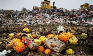 Românii aruncă mâncare într-un an cât ar putea hrăni 20 de ani Clujul