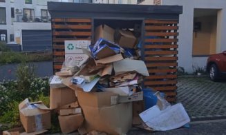 Colectare selectivă DA, ridicarea gunoiului BA