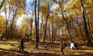 Clujenii se pot plimba pe o nouă potecă tematică în Pădurea Făget