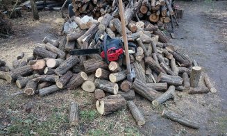 Hoți de lemne prinși în acțiune într-o pădure din Cluj. Cineva a sunat la 112