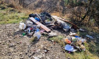 Cluj: Mormane de gunoaie aruncate pe domeniul public / Cum va fi prins făptașul