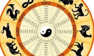 Zodiac CHINEZESC săptămâna 15-21 noiembrie 2021