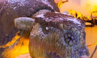 Clujul este orașul preferat al Dinozaurilor