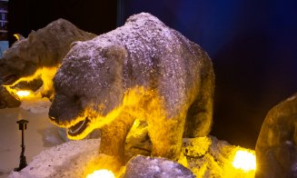 Clujul este orașul preferat al Dinozaurilor