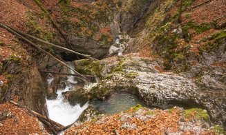 Ce poți face în Circuitul Cheile Galbenei, unul dintre cele mai frumoase din Munții Apuseni