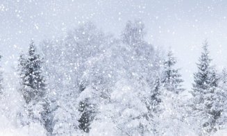 COD PORTOCALIU de ninsori şi viscol la Cluj
