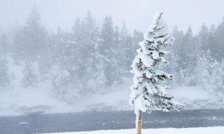 COD GALBEN de ninsoare viscolită și vânt puternic la Cluj. Rafale de peste 100 km/h