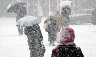 COD GALBEN de ninsori și vânt la Cluj