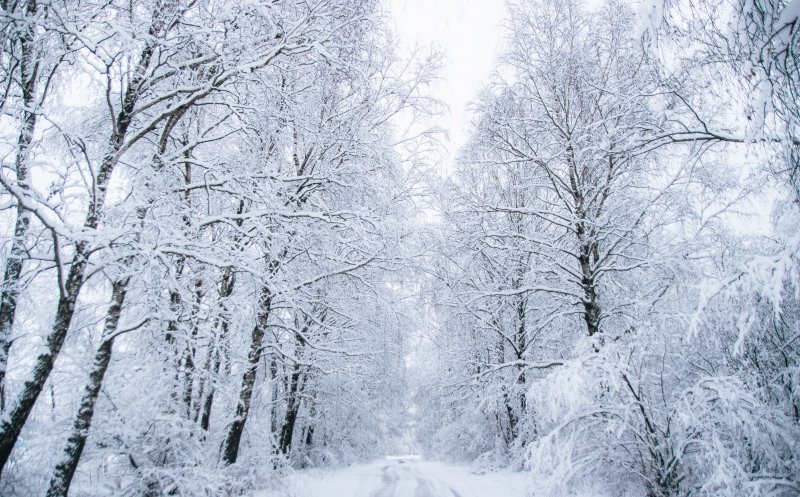 Imagini de vis! Un fotograf clujean a surprins cu drona prima zăpadă din pădurea Făget