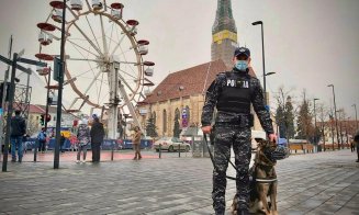 Faceți cunoștință cu Noua: este cea mai nouă membră a echipajului canin din Poliția Cluj
