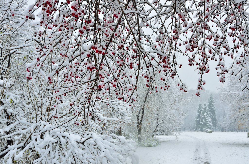 Vești noi de la meteorologi. Ninge sau nu de Crăciun?