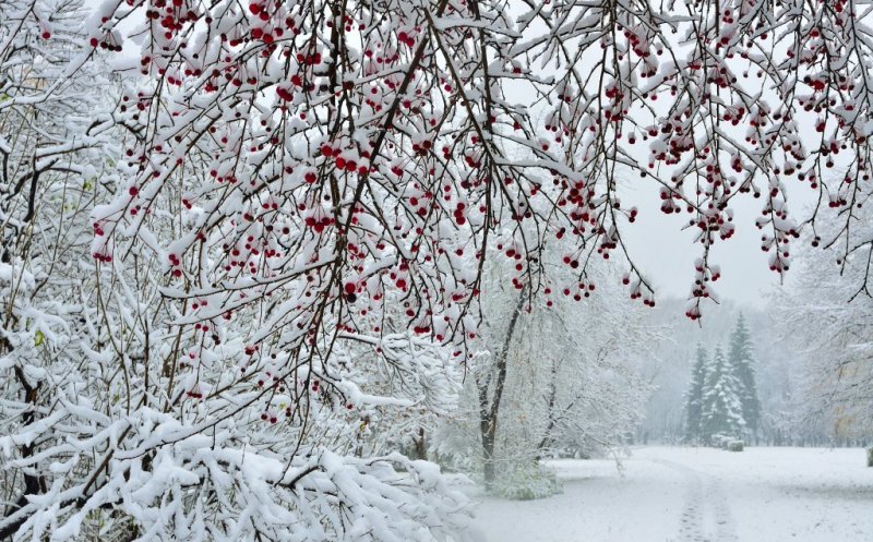 Vești noi de la meteorologi. Ninge sau nu de Crăciun?