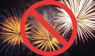 O asociație din Cluj, care oferă terapi cu animale, solicită anularea focurilor de artificii de Revelion: „Produc anxietate și panică”