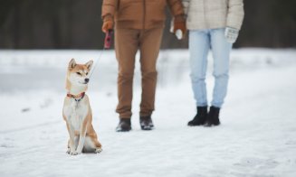 Pantaloni la modă pentru femei - ce stiluri sunt fierbinți în această iarnă?