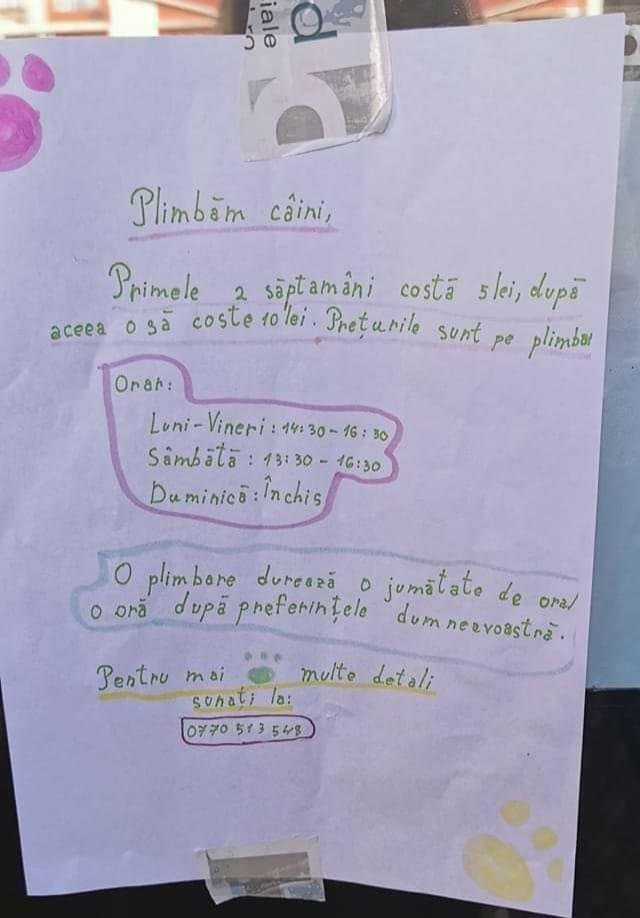 Mici antreprenori! Cine sunt fetițele care plimbă câini în Florești-Cluj. Ideea lor, virală pe Facebook