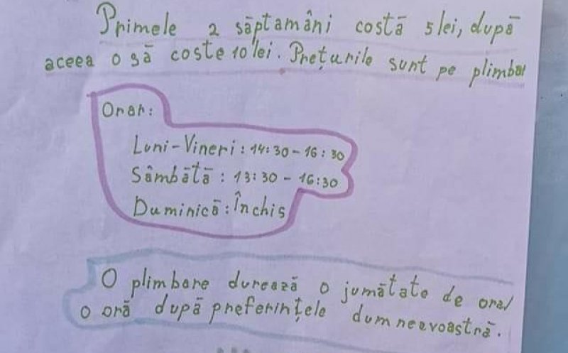Mici antreprenori! Cine sunt fetițele care plimbă câini în Florești-Cluj. Ideea lor, virală pe Facebook