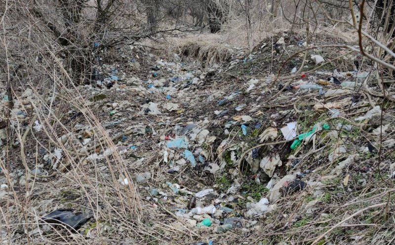 ”Dezastru ecologic în zona verde din cartierul Europa”