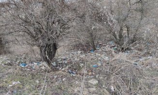 ”Dezastru ecologic în zona verde din cartierul Europa”