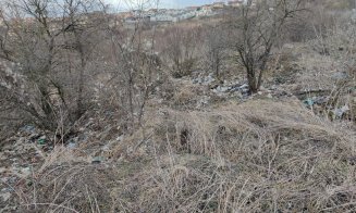 ”Dezastru ecologic în zona verde din cartierul Europa”