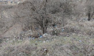 ”Dezastru ecologic în zona verde din cartierul Europa”