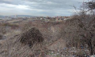 ”Dezastru ecologic în zona verde din cartierul Europa”