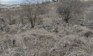 ”Dezastru ecologic în zona verde din cartierul Europa”