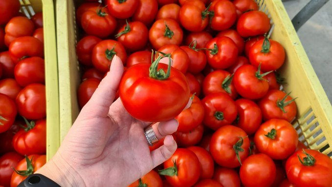 Criza facturilor la energie va aduce prețuri aberante la legume: 30 de lei un kilogram de roșii