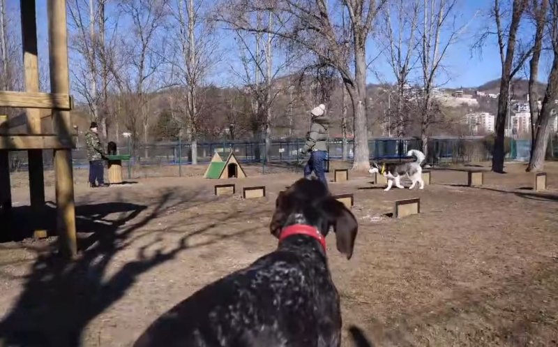 Parc de joacă special pentru căței, amenajat în Grigorescu. Boc: Luăm în calcul astfel de spații și în celelalte cartiere