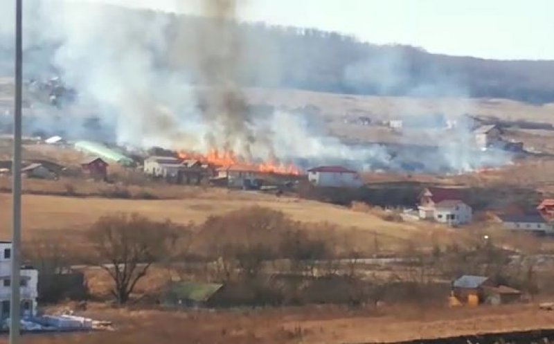 Ard dealurile în Cluj-Napoca! Incendiu puternic spre Chinteni