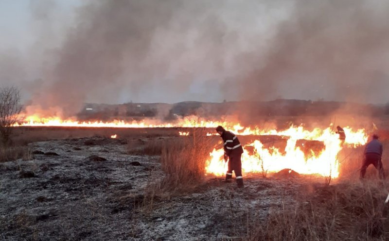 Incendiile de vegetație fac prăpăd la Cluj. Sute de hectare pârjolite în doar câteva zile