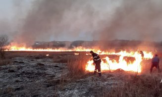 Incendiile de vegetație fac prăpăd la Cluj. Sute de hectare pârjolite în doar câteva zile