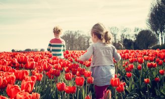 Florile de primăvară sunt adevărate remedii naturiste. De ce boli grave te pot scăpa