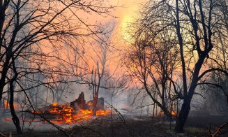 Incendii de vegetație la Cernobîl. Crește riscul de răspândire a fumului radioactiv
